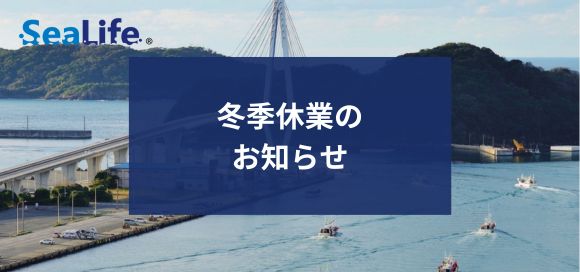 冬季休業のお知らせ